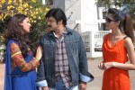 balakrishna-new-movie-opening
