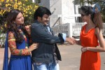 balakrishna-new-movie-opening