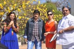 balakrishna-new-movie-opening