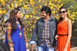 balakrishna-new-movie-opening