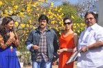 balakrishna-new-movie-opening