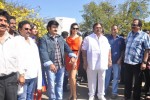 Srimannarayana Movie Opening - 95 of 130