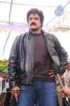 balakrishna-new-movie-opening-photos