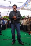 balakrishna-new-movie-opening-photos