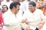 Balakrishna New Movie Opening Photos 02 - 10 of 214