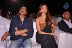 balupu-movie-audio-launch-04