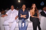 balupu-movie-audio-launch-04