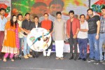 Basanti Movie Audio Launch - 96 of 262