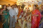 Bhuma Nagi Reddy Daughter Marriage Photos - 23 of 48