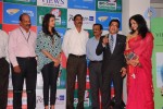 big-green-ganesha-2013-launch-event