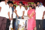 Bindaas Movie 100 Days Function - 33 of 38