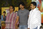 Bindaas Movie Success Meet - 13 of 36