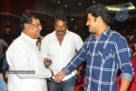 Brindavanam Movie Triple Platinum Disc Function - 80 of 164