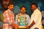 Brindavanam Movie Triple Platinum Disc Function - 137 of 164