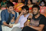 Brother of Bommali Movie Audio Launch 01 - 4 of 167