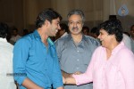Brother of Bommali Movie Audio Launch 01 - 5 of 167