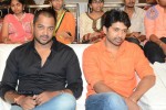 Brother of Bommali Movie Audio Launch 01 - 10 of 167