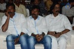 Brother of Bommali Movie Audio Launch 01 - 12 of 167