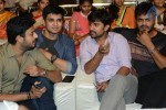 Brother of Bommali Movie Audio Launch 01 - 16 of 167