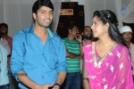 Brother of Bommali Movie Audio Launch 01 - 66 of 167