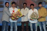 Brother of Bommali Movie Audio Launch 01 - 71 of 167