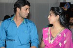 Brother of Bommali Movie Audio Launch 01 - 72 of 167
