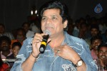 Brother of Bommali Movie Audio Launch 01 - 79 of 167