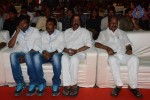 Brother of Bommali Movie Audio Launch 01 - 84 of 167