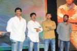 Brother of Bommali Movie Audio Launch 02 - 4 of 304