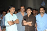 Brother of Bommali Movie Audio Launch 02 - 14 of 304