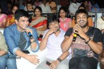 Brother of Bommali Movie Audio Launch 02 - 19 of 304