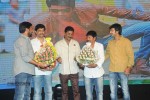 Brother of Bommali Movie Audio Launch 02 - 21 of 304