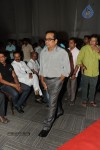 brother-of-bommali-movie-audio-launch-02