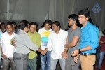 Brother of Bommali Movie Audio Launch 02 - 80 of 304