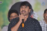 Brother Of Bommali Success Meet - 9 of 73