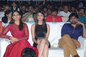 Bruce Lee Audio Launch 4 - 17 of 47