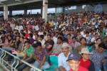 CCL Curtain Raiser Match Photos (First on Net) - 81 of 92