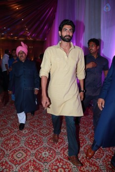 Celebrities at Syed Ismail Ali Daughter Wedding Pics - 11 of 182