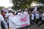 Stars at Breast Cancer Awareness Walk 4 Event - 62 of 107