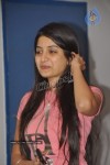 Celebs at Gaganam Movie Premiere Show - 70 of 82