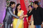 Celebs at Gopichand Malineni Wedding Reception - 23 of 66