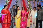 Celebs at Gopichand Malineni Wedding Reception - 29 of 66