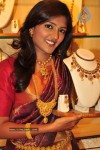 celebs-at-manepally-akshaya-tritiya-jewellery-collections
