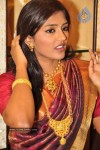 celebs-at-manepally-akshaya-tritiya-jewellery-collections