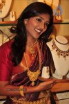 celebs-at-manepally-akshaya-tritiya-jewellery-collections