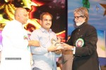 Celebs at Nandi Awards 07 - 131 of 217