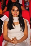 Celebs at Paisa Audio Launch - 217 of 251
