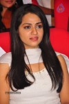 Celebs at Paisa Audio Launch - 229 of 251