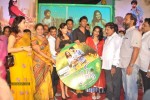 Celebs at Park Movie Audio Launch - 147 of 179