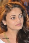 Celebs at Park Movie Audio Launch - 156 of 179
